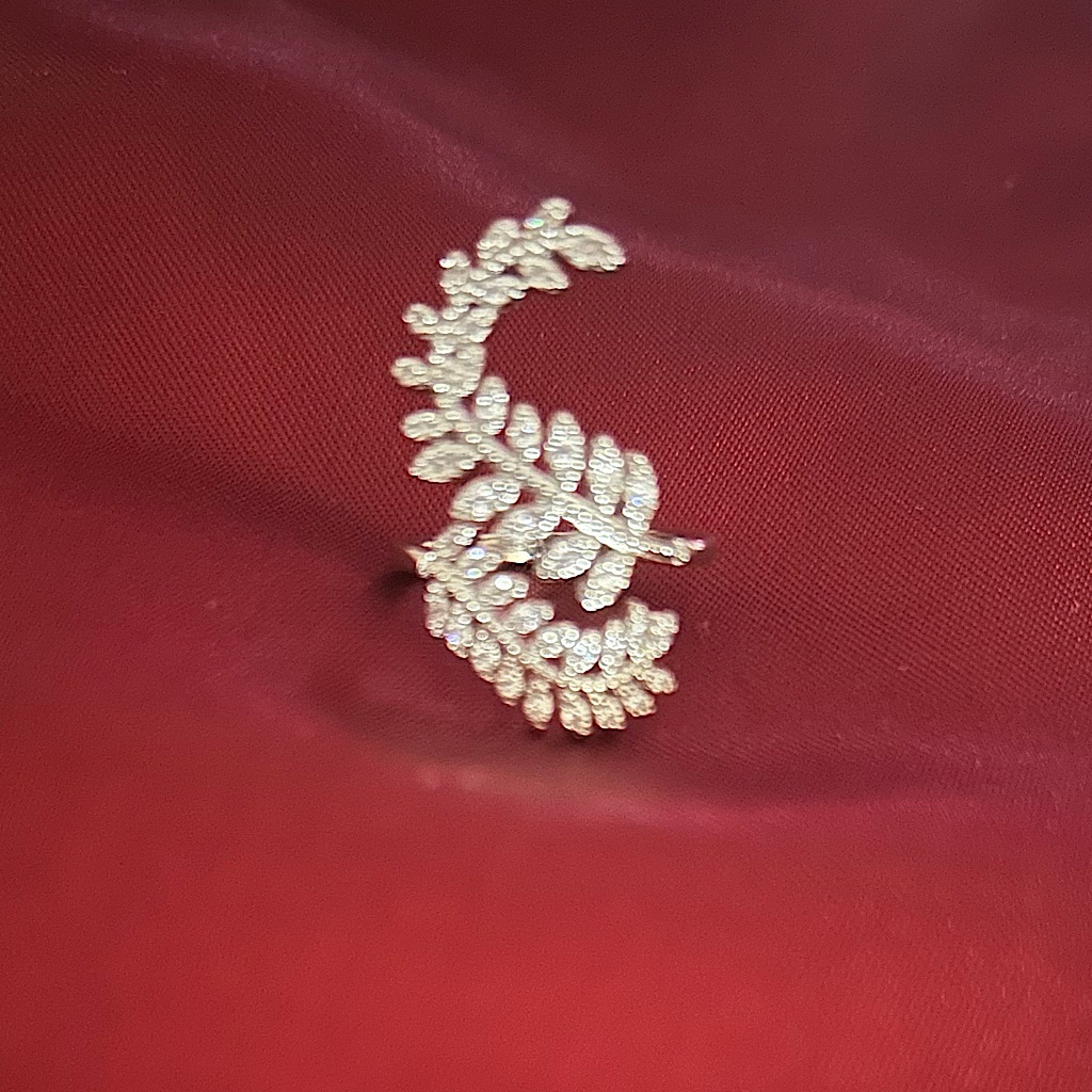 Silver Tone Ring.